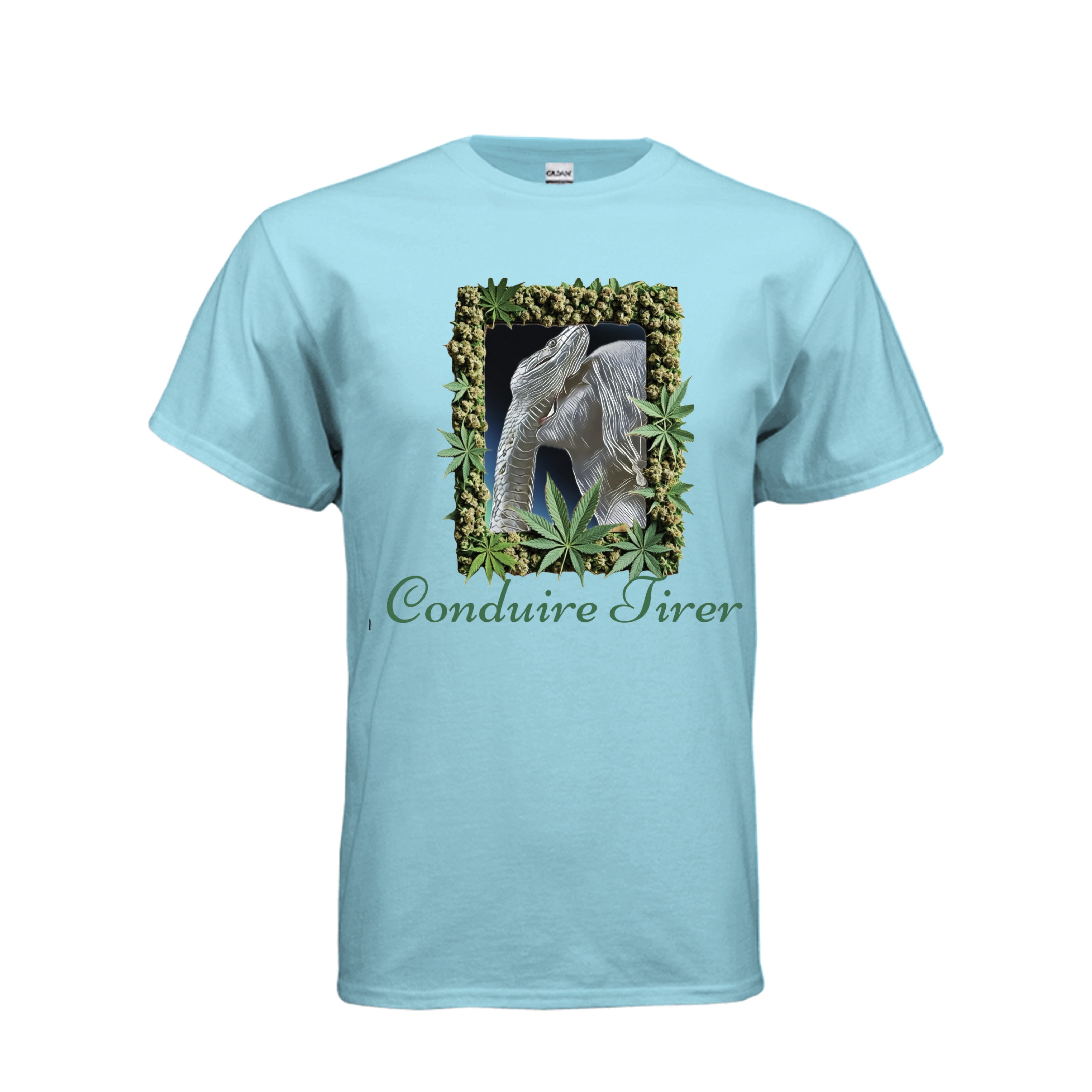 ndm:187785